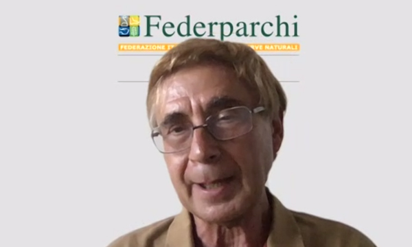 Giampiero Sammuri 