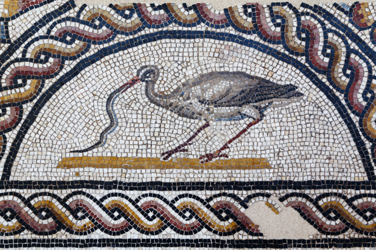 Fondazione Parco Archeologico di Classe RavennAntica