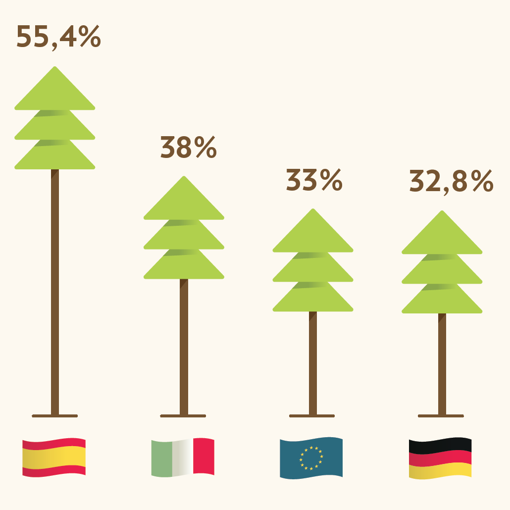 Italia seconda in Europa per copertura forestale