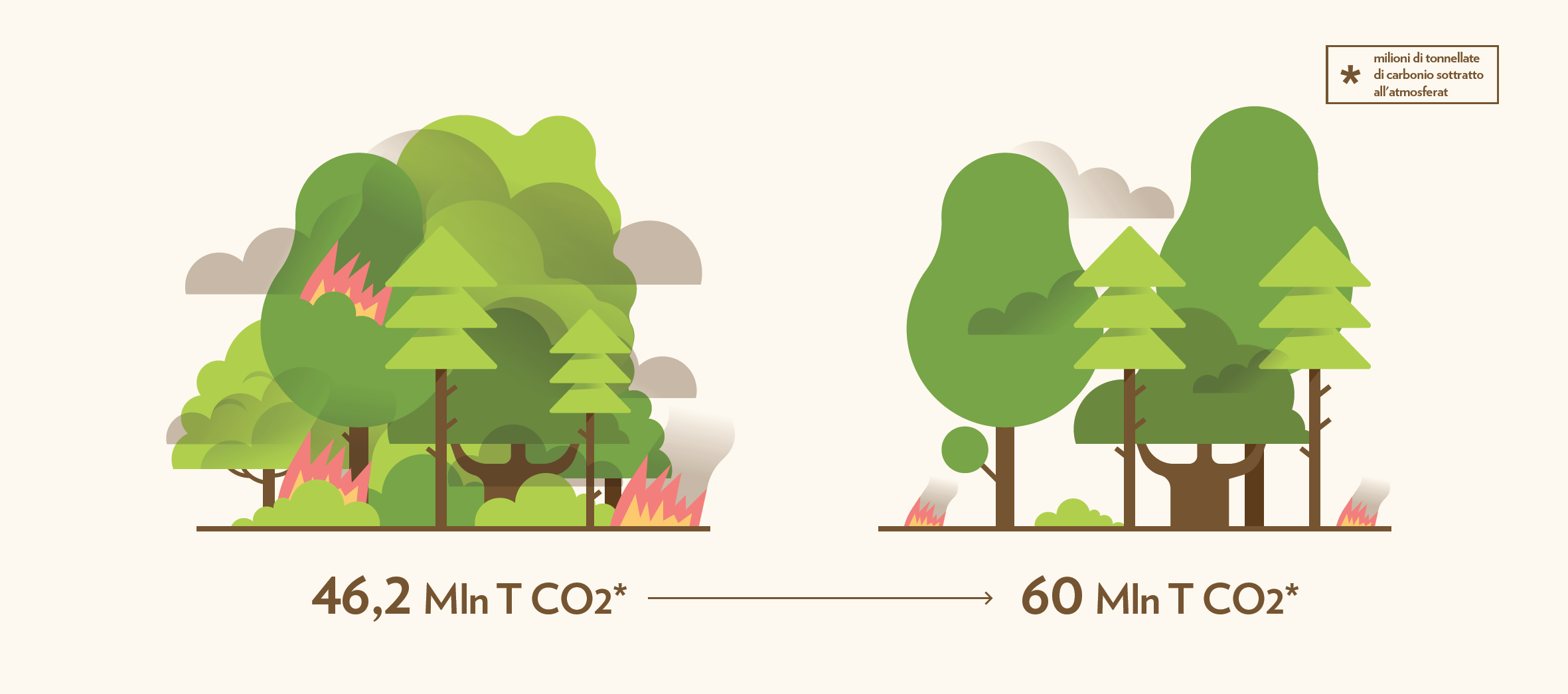 La gestione sostenibile dei boschi italiani può migliorare del 30% l’assorbimento di CO2