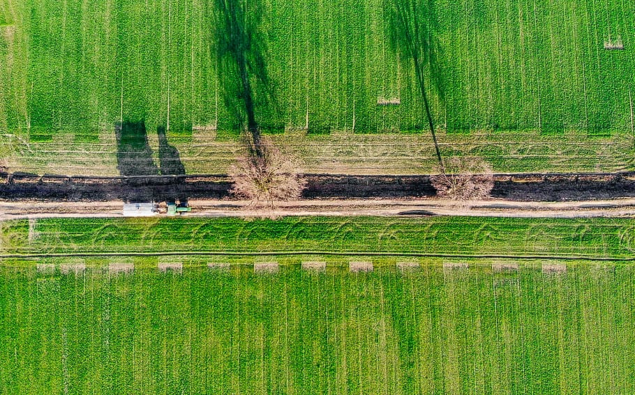 Agroalimentare Made in Italy e Green Economy