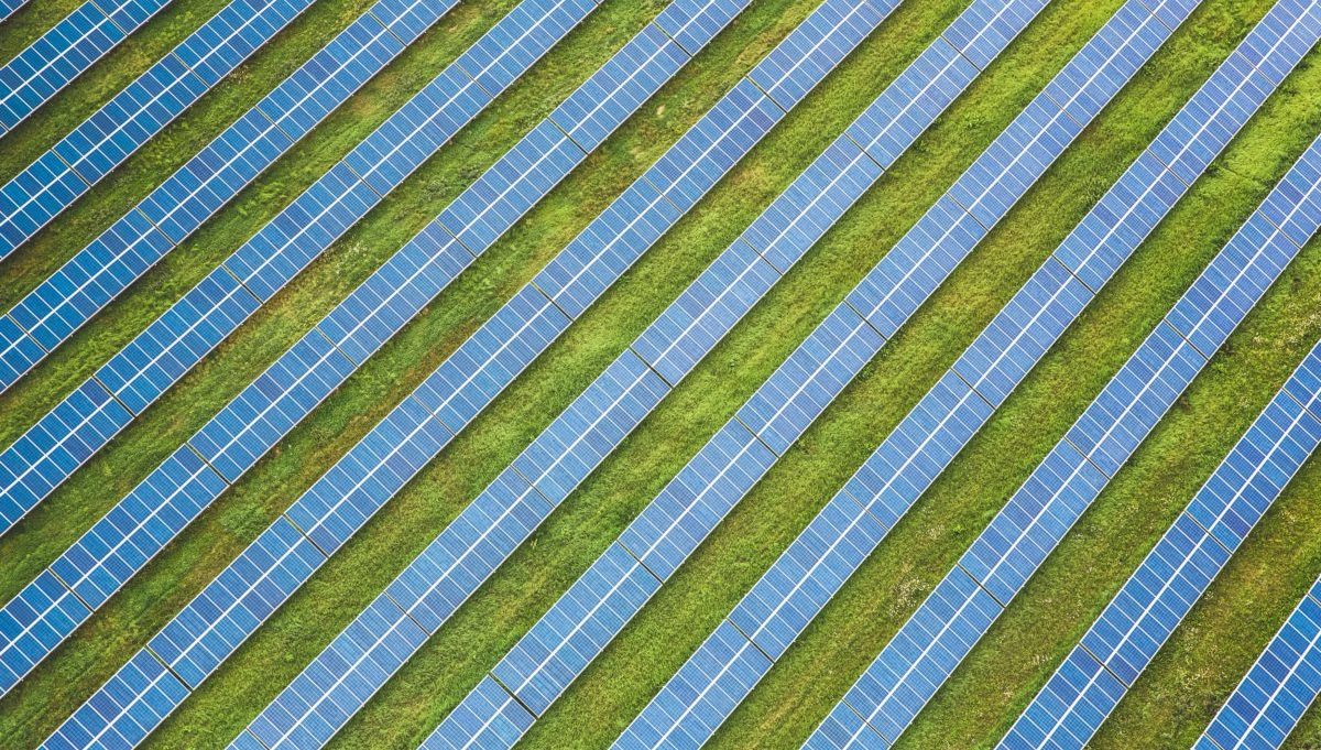 Scenari energetici internazionali: le rinnovabili continuano a vincere e catturano nuovi alleati