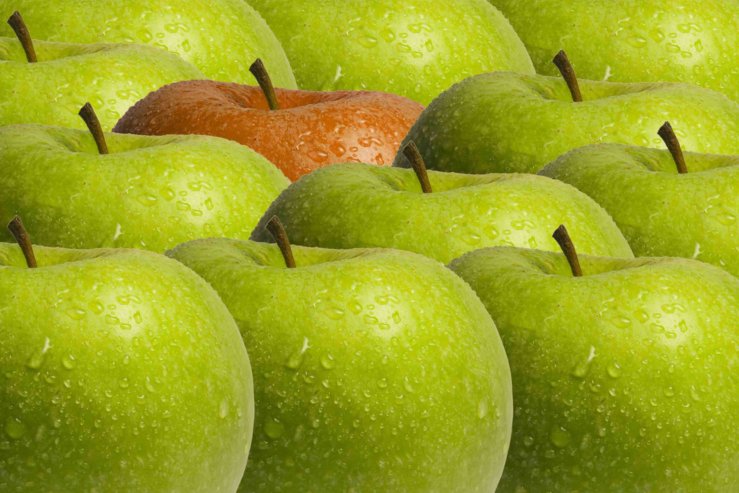 Frumat