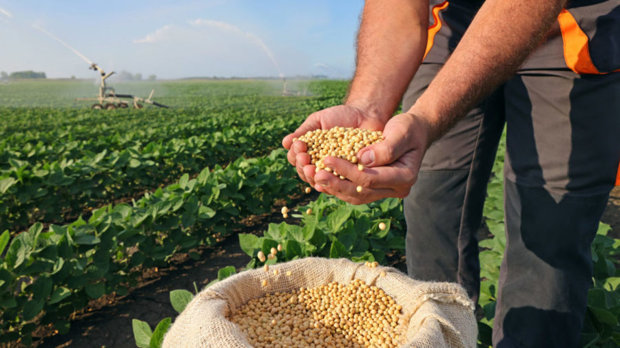 Agroalimentare