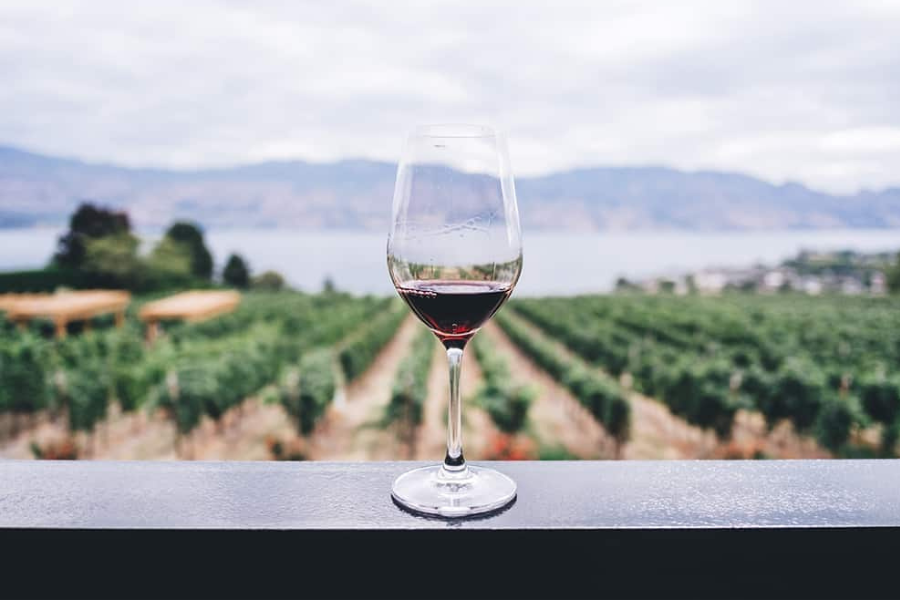 CerzaSerra Wine