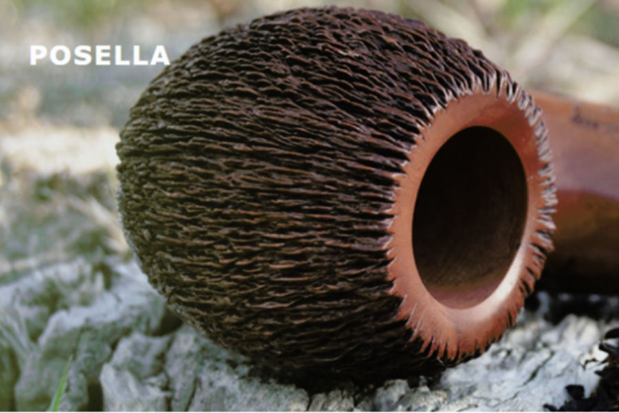 Posella Pipe